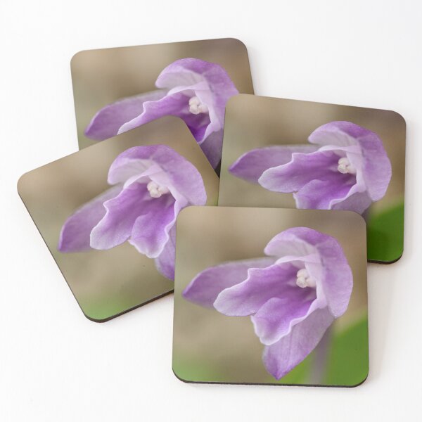 Item preview, Roscoea alpina designed and sold by Chris Burrows.