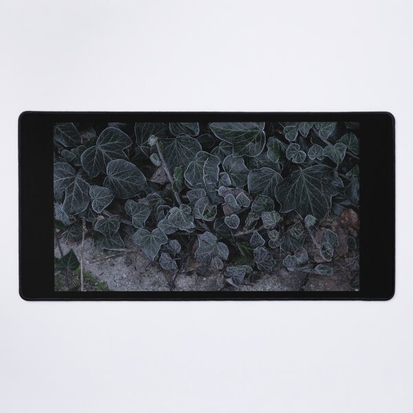 Item preview, Frosted Ivy Groundcover designed and sold by LaumisPhotos.
