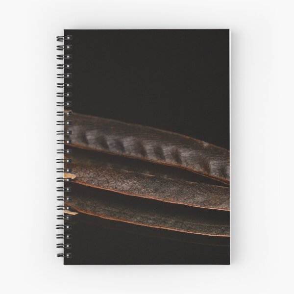 Item preview, Minimal Botanical Study with Seed Pods designed and sold by Goiko7Margarita.