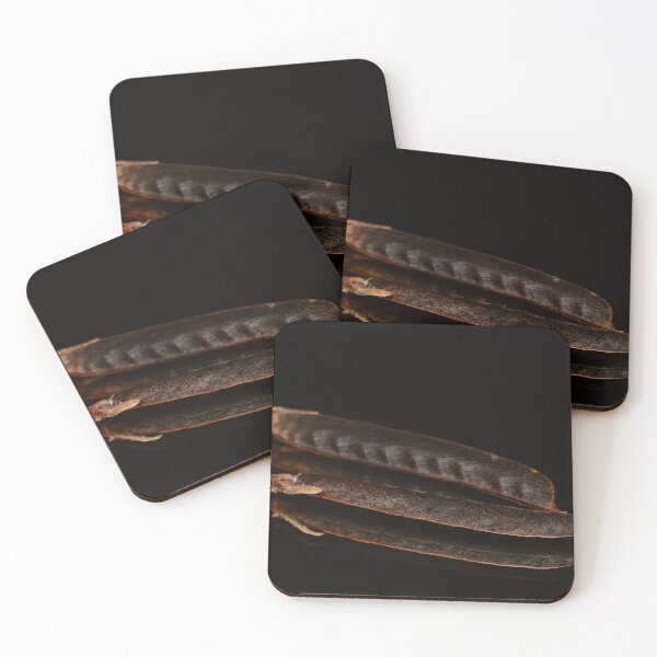 Item preview, Minimal Botanical Study with Seed Pods designed and sold by Goiko7Margarita.