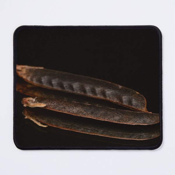 Item preview, Minimal Botanical Study with Seed Pods designed and sold by Goiko7Margarita.