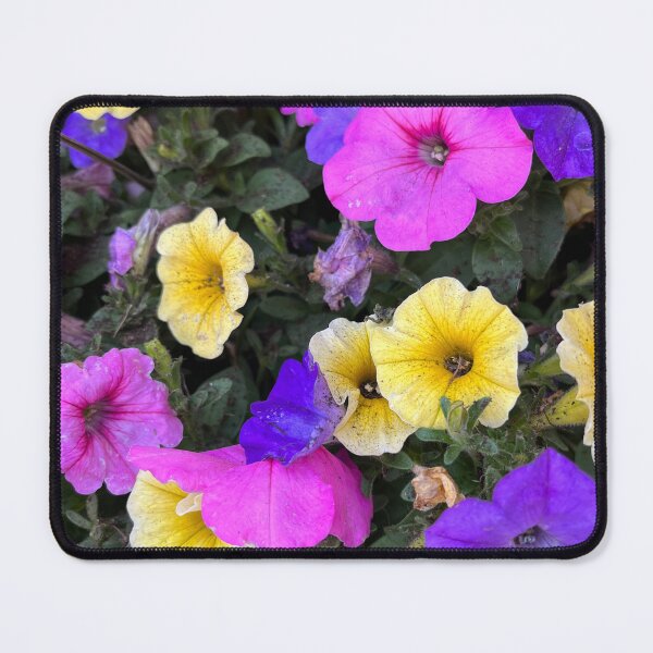 Item preview, Spring Pansies designed and sold by EmmaLilStudio.