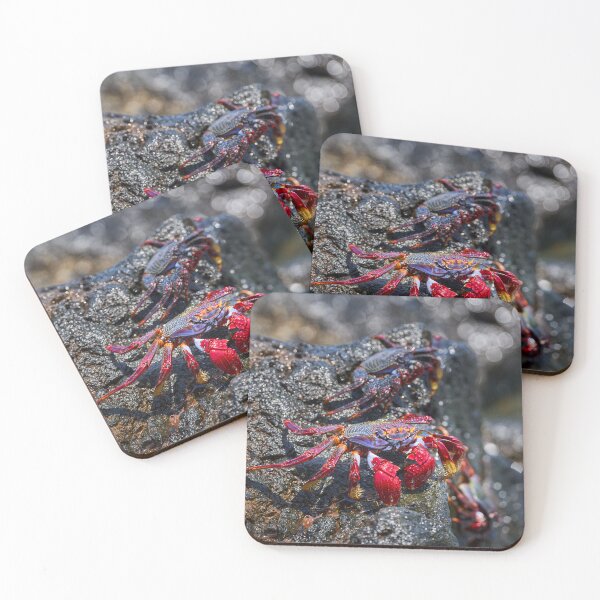 Item preview, Sally Lightfoot crab on volcanic rock designed and sold by Imagerisium.