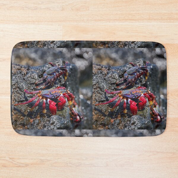 Item preview, Sally Lightfoot crab on volcanic rock designed and sold by Imagerisium.