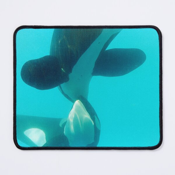Item preview, Bred In Captivity designed and sold by filmphotog.