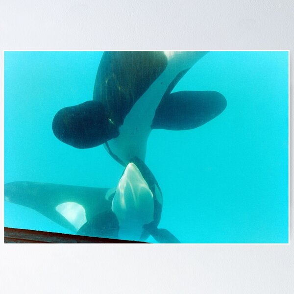 Item preview, Bred In Captivity designed and sold by filmphotog.