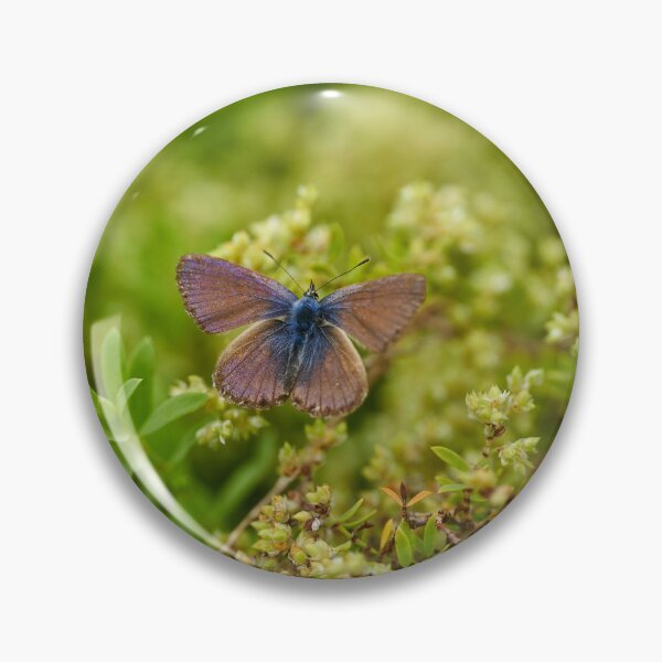Item preview, Blue butterfly on green flowers designed and sold by Imagerisium.