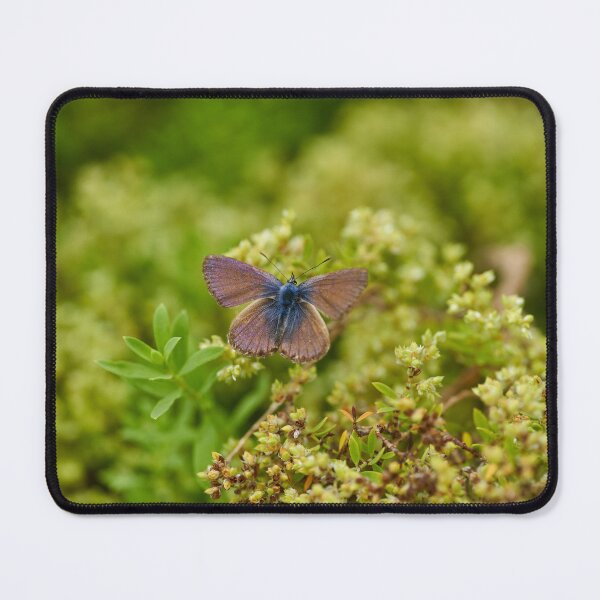 Item preview, Blue butterfly on green flowers designed and sold by Imagerisium.