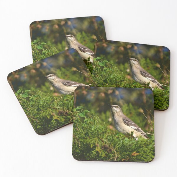 Item preview, Beautiful Mockingbird Singing designed and sold by MercerImages.