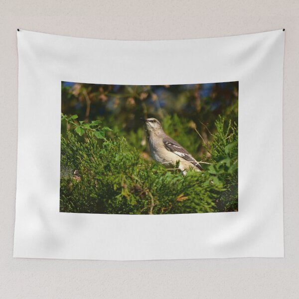 Item preview, Beautiful Mockingbird Singing designed and sold by MercerImages.