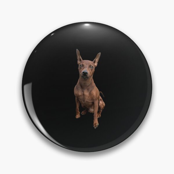 Item preview, Cute Miniature Pinscher – Small Dog Big Heart designed and sold by mackson88.