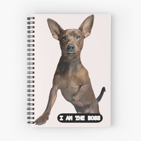 Item preview, Miniature Pinscher The Boss  designed and sold by mackson88.