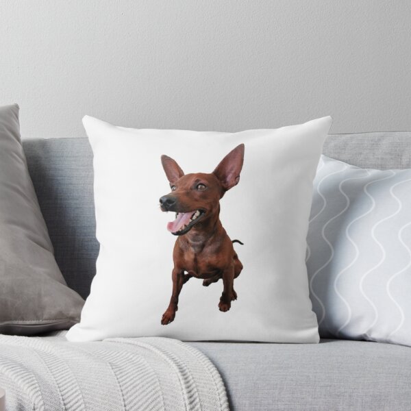 Item preview, Pinscher miniatura feliz – Perro rojo sonriente designed and sold by mackson88.