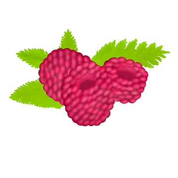 Artwork thumbnail, Danvant- Raspberry by Daniel Vasco