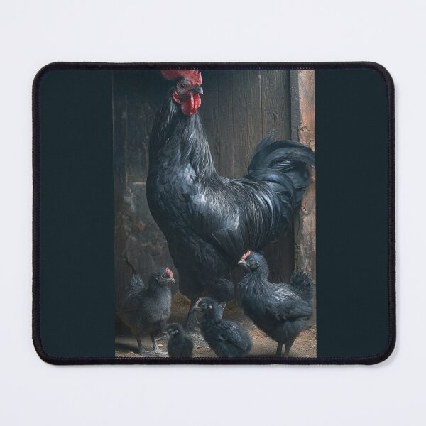 Item preview, Ayam Cemani chicken designed and sold by Helios Be. Lavsh.