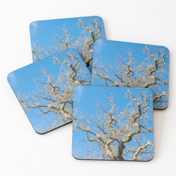 Item preview, Tree Top designed and sold by Christine Lake.