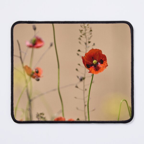 Item preview, Red Poppies and Seedpods Blooming designed and sold by Imagerisium.
