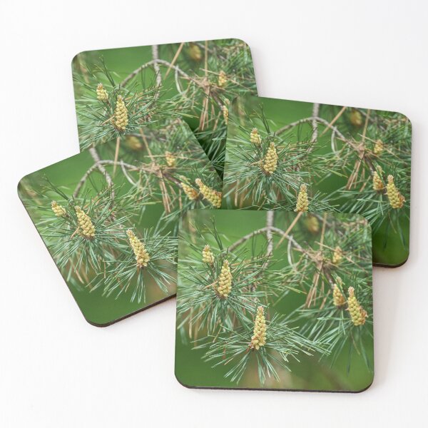Item preview, Dog rose flowers in bloom designed and sold by Imagerisium.