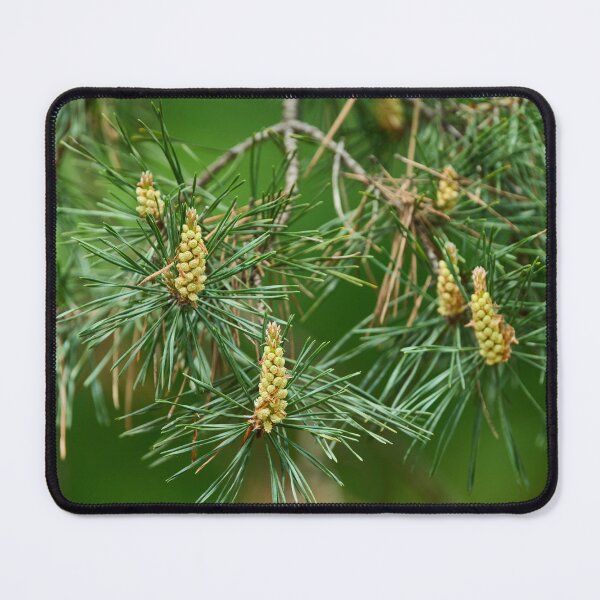 Item preview, Dog rose flowers in bloom designed and sold by Imagerisium.