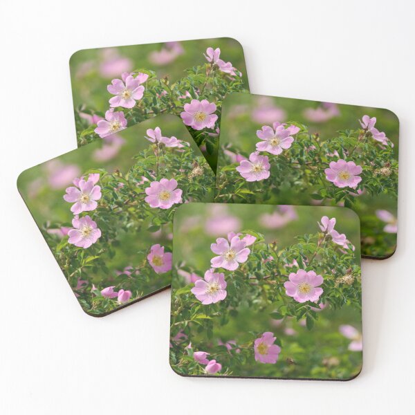 Item preview, Dog rose flowers in bloom designed and sold by Imagerisium.