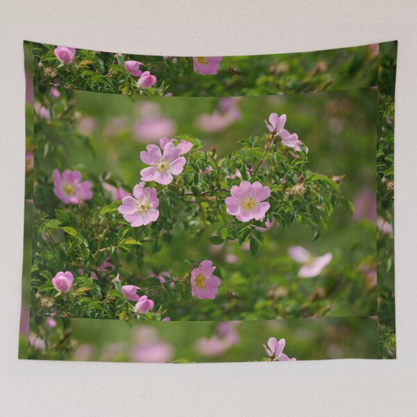Item preview, Dog rose flowers in bloom designed and sold by Imagerisium.