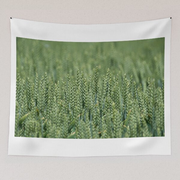 Item preview, Green wheat spikes in field designed and sold by Imagerisium.