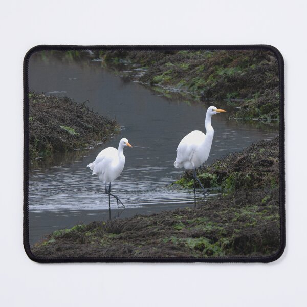 Item preview, Two Great Egrets with leg and foot detail designed and sold by lisavonbiela.