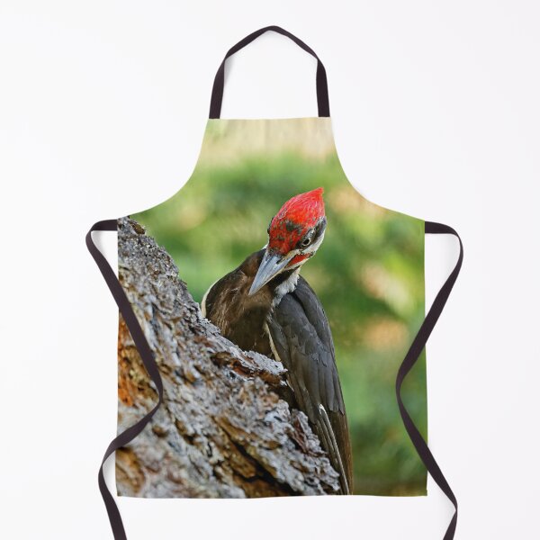 Item preview, An Industrious Male Pileated Woodpecker designed and sold by walkswithnature.