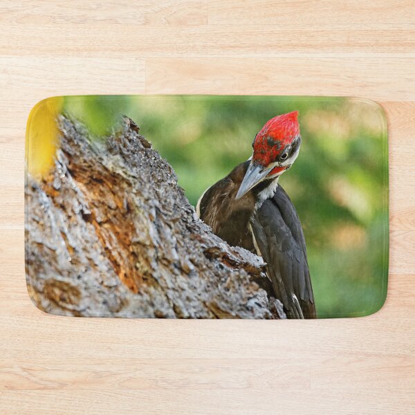 Item preview, An Industrious Male Pileated Woodpecker designed and sold by walkswithnature.