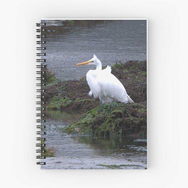 Item preview, Great Egret with wind fluffing its feathers designed and sold by lisavonbiela.