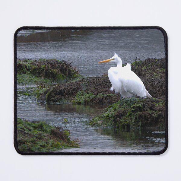 Item preview, Great Egret with wind fluffing its feathers designed and sold by lisavonbiela.