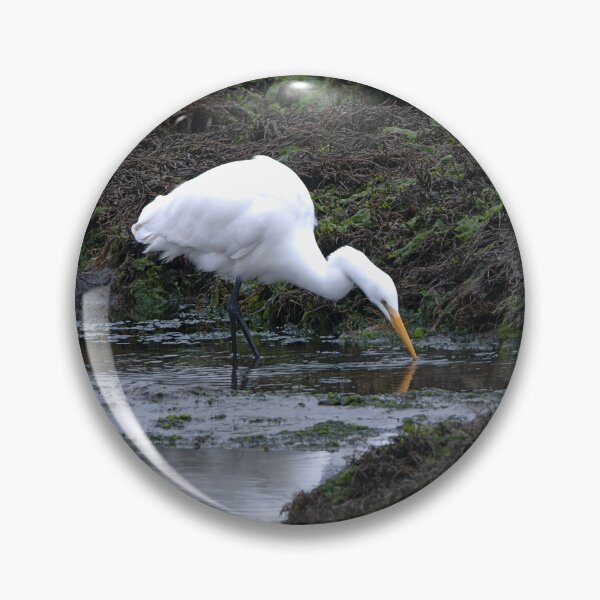 Item preview, Great Egret feeding with beak reflection designed and sold by lisavonbiela.