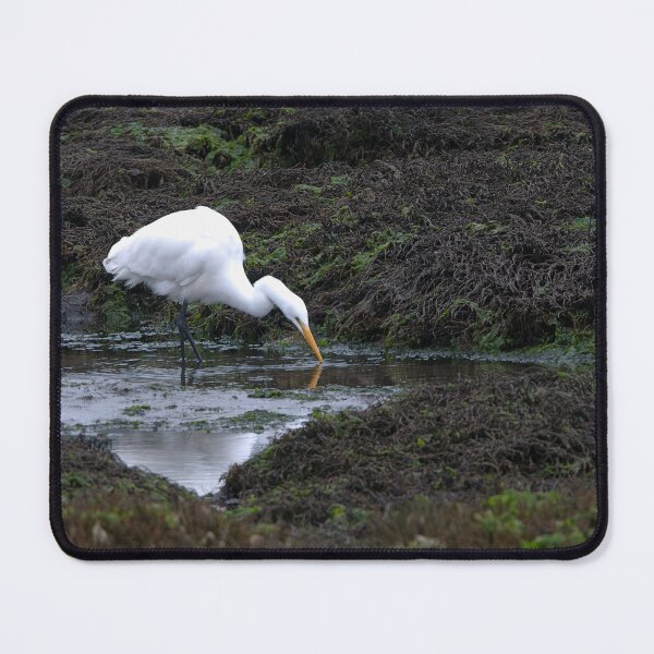 Item preview, Great Egret feeding with beak reflection designed and sold by lisavonbiela.