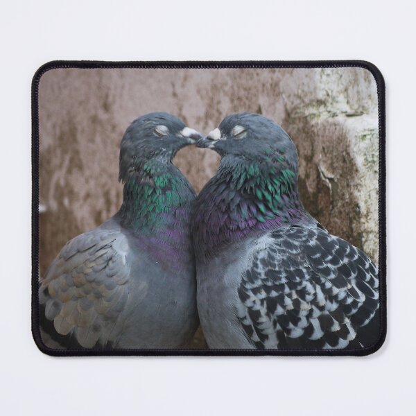 Item preview, Affectionate Pigeons designed and sold by The Pic Shire.