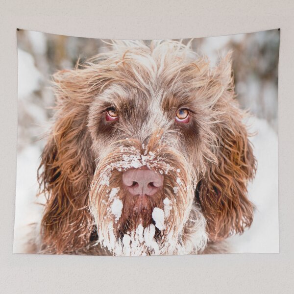 Item preview, Snow Beard Spinone designed and sold by FOLK ART FUSION by heidiannemorris.