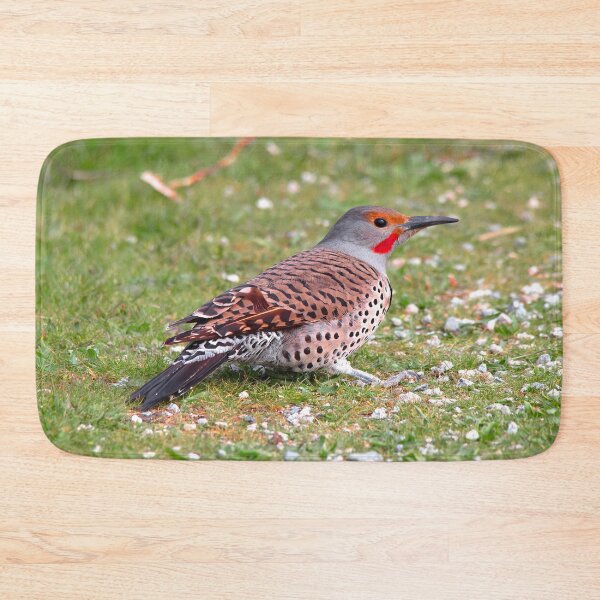 Item preview, A Bold Ground Foraging Red-Shafted Northern Flicker designed and sold by walkswithnature.