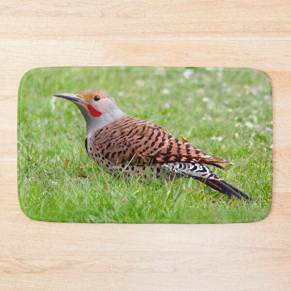 Item preview, A Bold Ground Foraging Red-Shafted Northern Flicker designed and sold by walkswithnature.