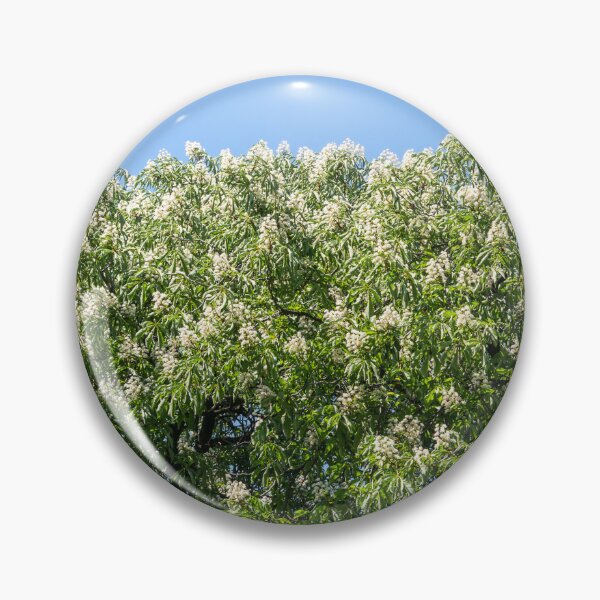 Item preview, Blooming Chestnut Trees Against Clear Sky designed and sold by Georgia Mizuleva.