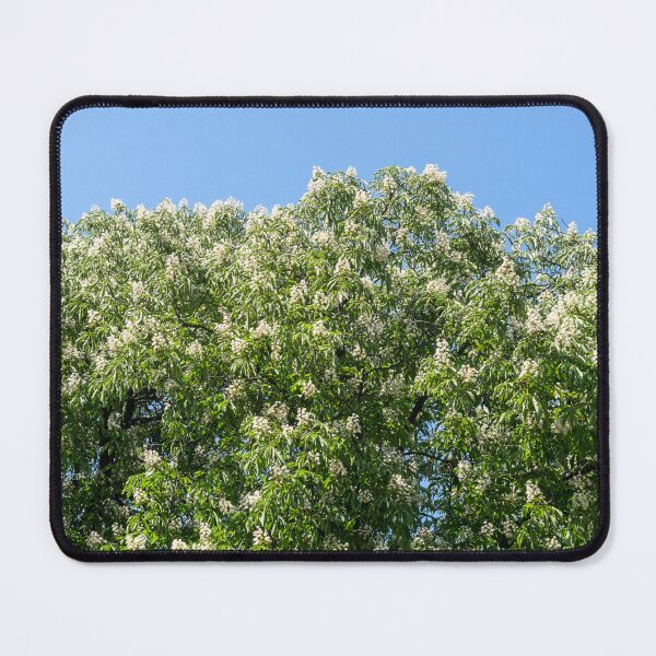 Item preview, Blooming Chestnut Trees Against Clear Sky designed and sold by Georgia Mizuleva.