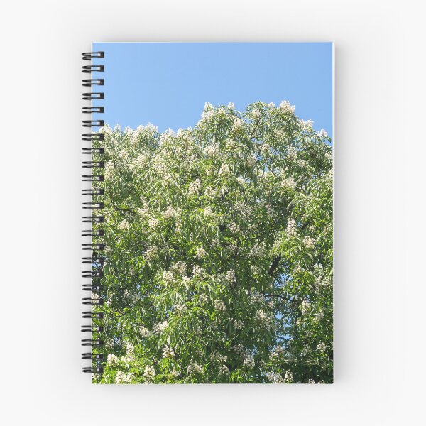 Item preview, Blooming Chestnut Trees Against Clear Sky designed and sold by Georgia Mizuleva.