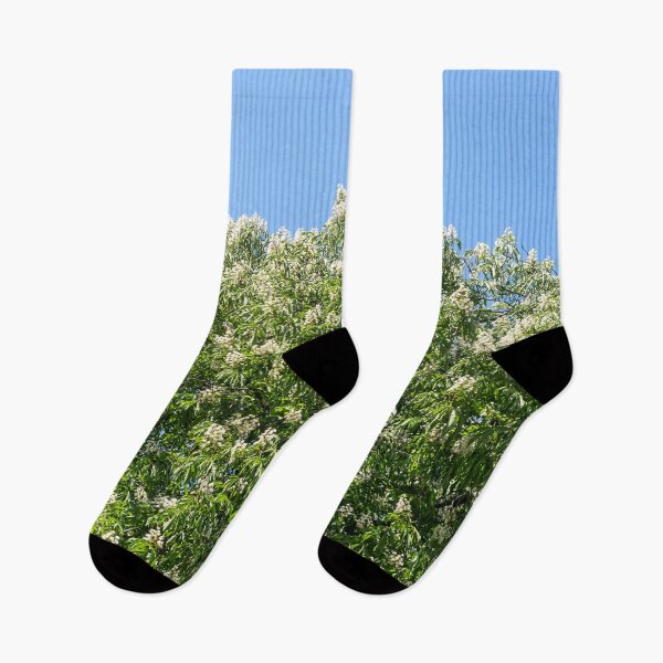 Item preview, Blooming Chestnut Trees Against Clear Sky designed and sold by Georgia Mizuleva.