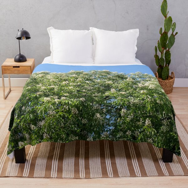 Item preview, Blooming Chestnut Trees Against Clear Sky designed and sold by Georgia Mizuleva.