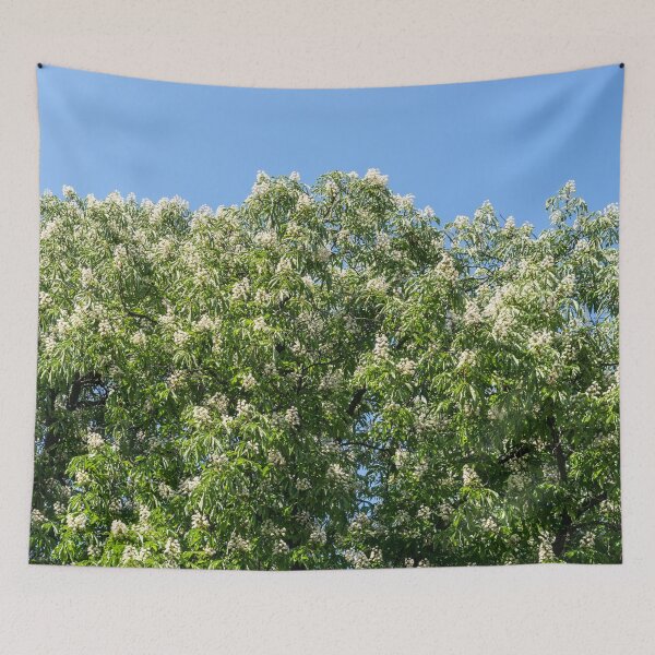 Item preview, Blooming Chestnut Trees Against Clear Sky designed and sold by Georgia Mizuleva.