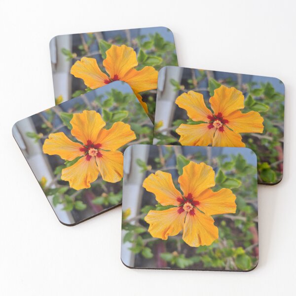 Item preview, Hibiscus  designed and sold by Shanna80.