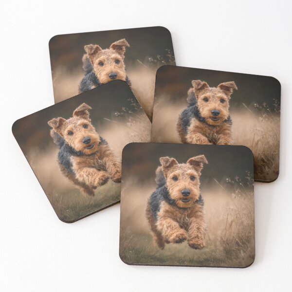 Item preview,  Welsh Terrier designed and sold by Elisabeth Lucas.