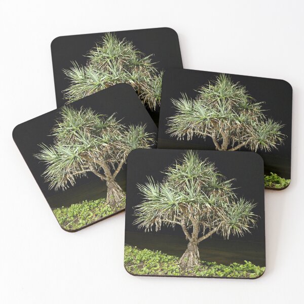 Item preview, Pandanus palm designed and sold by elsha.