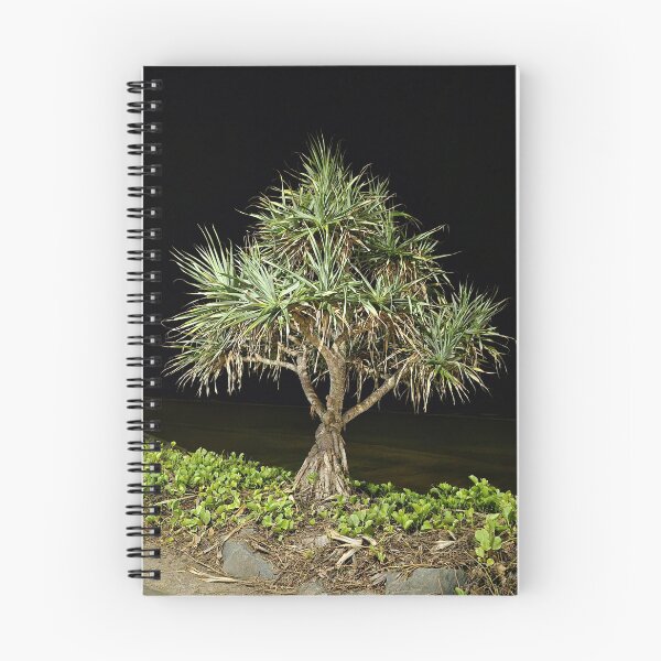 Item preview, Pandanus palm designed and sold by elsha.