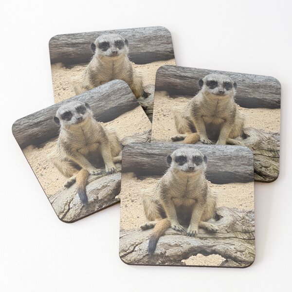 Item preview, Old Man Meerkat designed and sold by elsha.