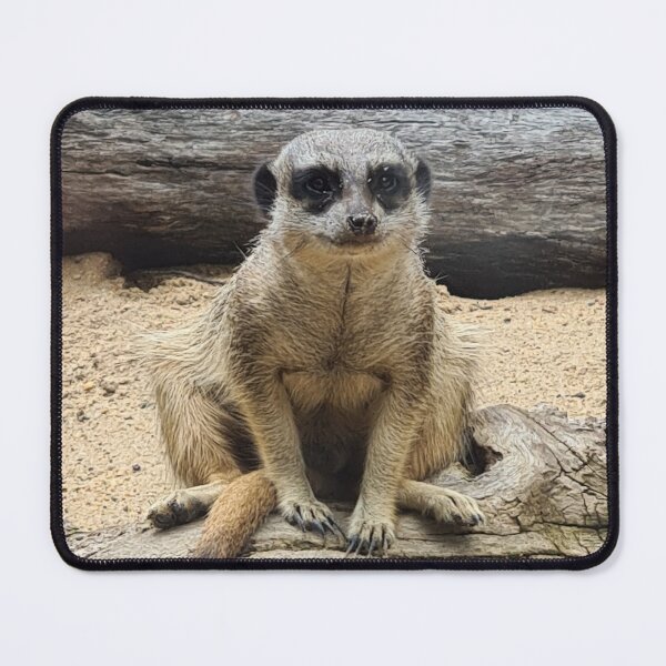 Item preview, Old Man Meerkat designed and sold by elsha.