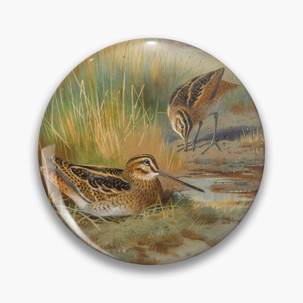 Item preview, Archibald Thorburn: A Pair of Snipe designed and sold by Tridentulus.